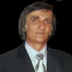 Daniel Vișan-Dimitriu