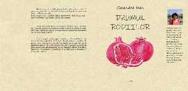 Casandra Ioan - Drumul Rodiilor - jurnal de calatorie