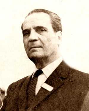 Vladimir Streinu